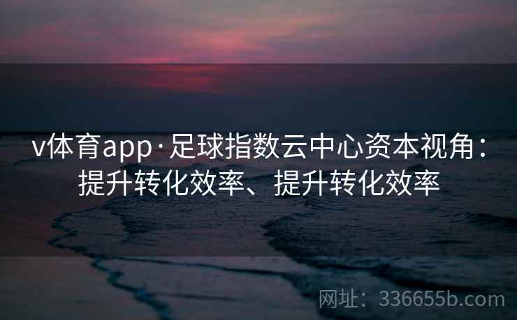 v体育app·足球指数云中心资本视角：提升转化效率、提升转化效率