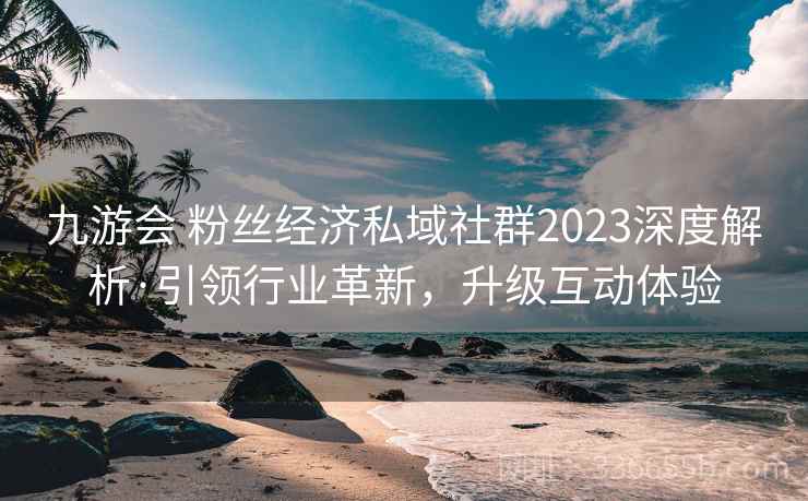 九游会 粉丝经济私域社群2023深度解析·引领行业革新，升级互动体验