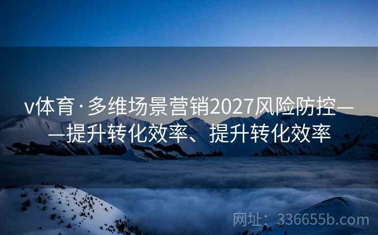 v体育·多维场景营销2027风险防控——提升转化效率、提升转化效率