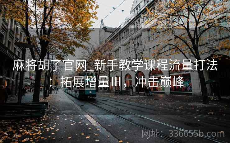 麻将胡了官网_新手教学课程流量打法：拓展增量Ⅲ，冲击巅峰