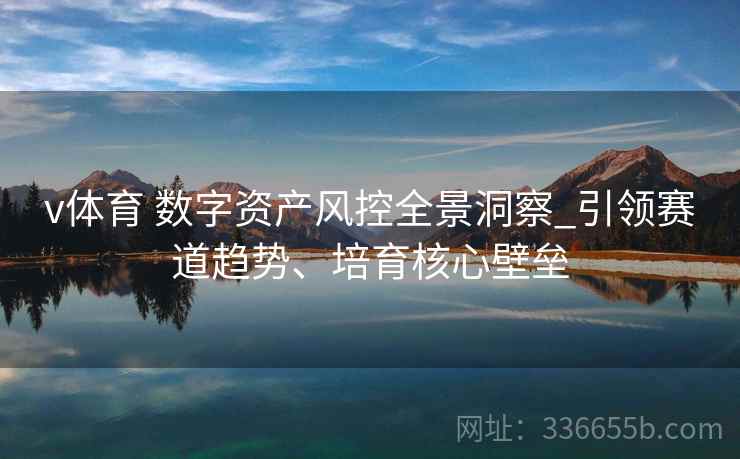 v体育 数字资产风控全景洞察_引领赛道趋势、培育核心壁垒