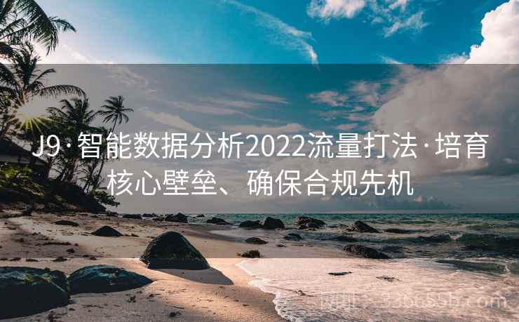 J9·智能数据分析2022流量打法·培育核心壁垒、确保合规先机