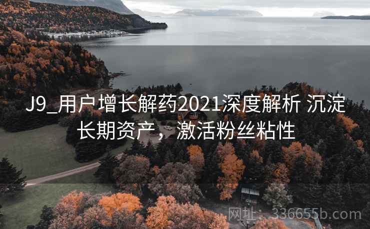 J9_用户增长解药2021深度解析 沉淀长期资产，激活粉丝粘性