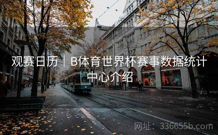 观赛日历｜B体育世界杯赛事数据统计中心介绍
